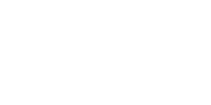 TOTE-N-STOR